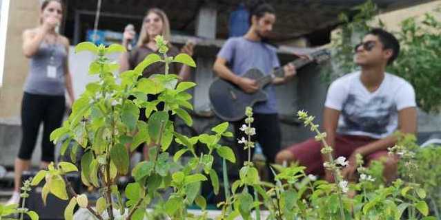 Horta com pessoas tocando instrumentos musicais ao fundo