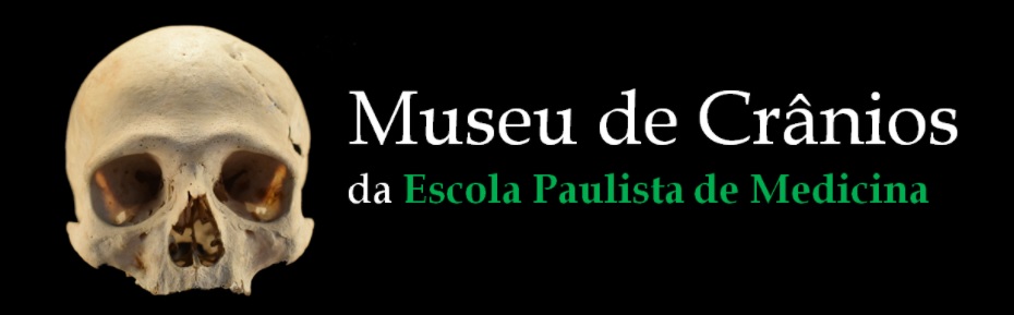 Museu crânio