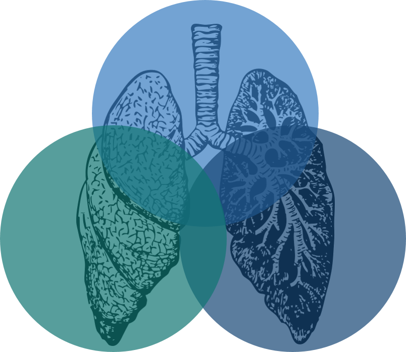 Setores da disciplina de pneumologia