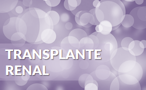 transplante renal