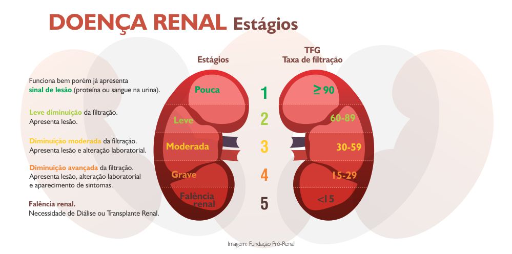 Estagios Doenca Renal Pro Renal