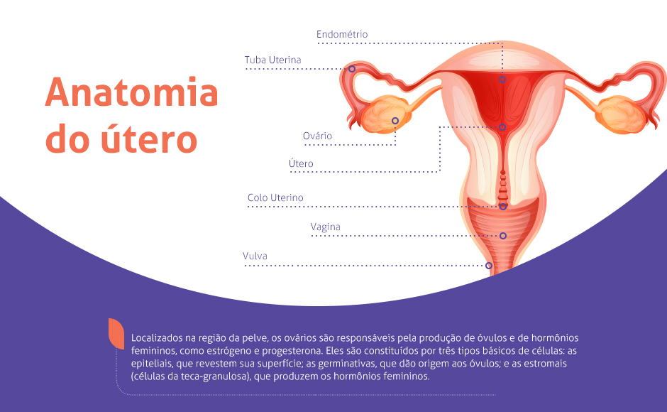 Como é a vida após a retirada dos ovários? - Oncologista em São