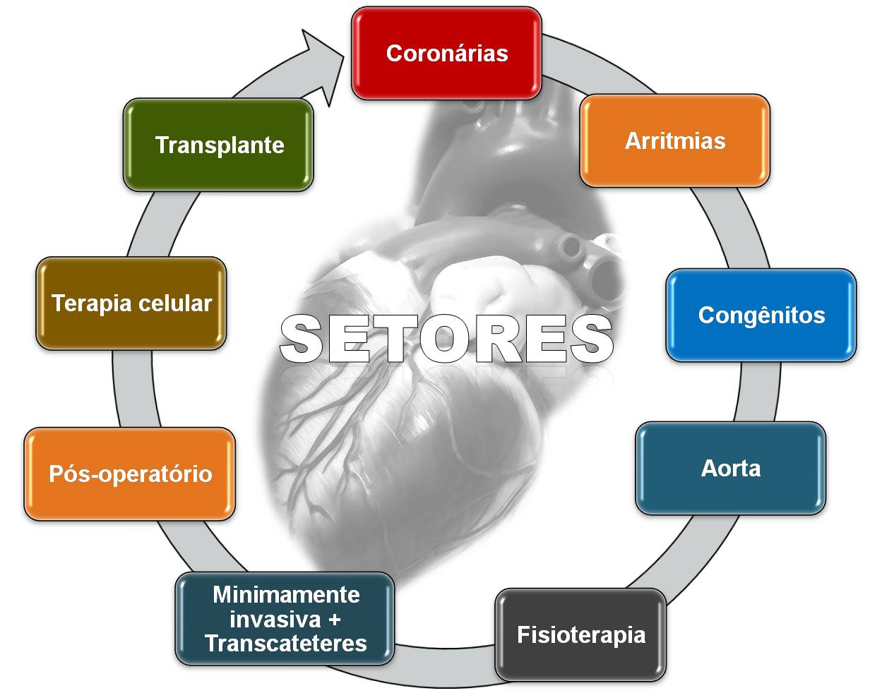 setores