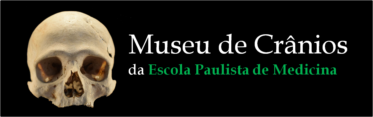 banner com foto de crânio com texto: Museu de Crânios da Escola Paulista de Medicina