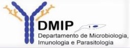 DMIP 