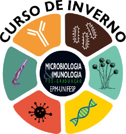 Logo Curso de Inverno