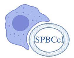 spbcel