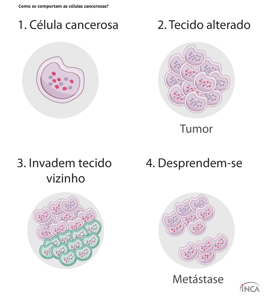 comportamento das celulas cancerosas 0 0