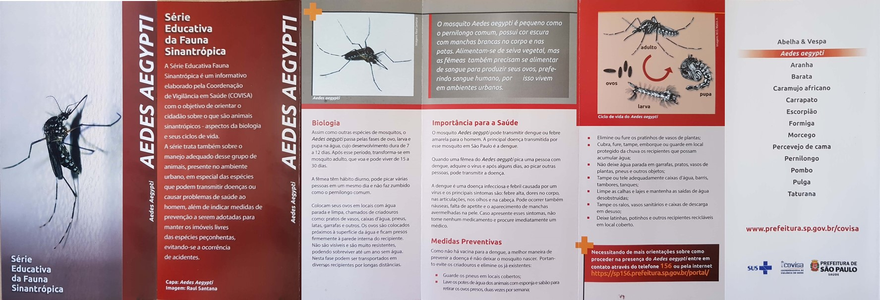 Treinamento Aedes Aegypti3