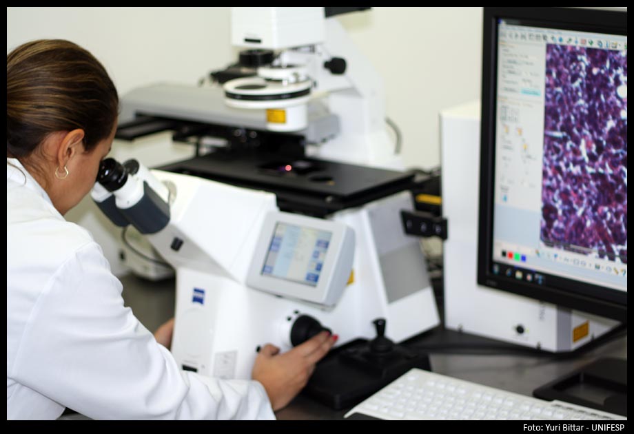 Pesquisadora observando lâmina em microscópio