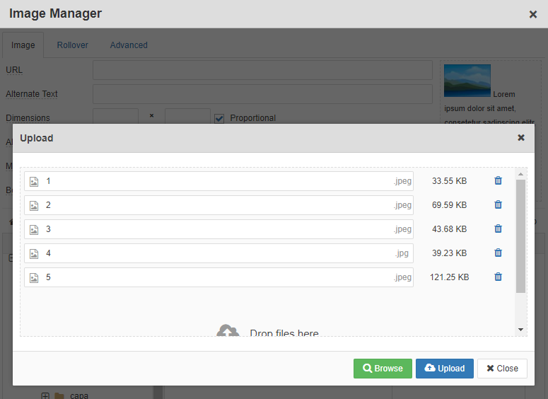 image manager upload