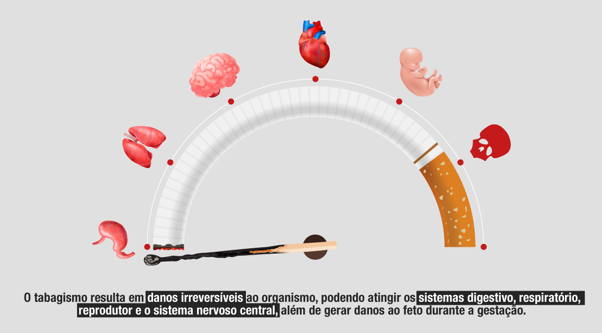 Fumar não prejudica apenas os pulmões. Tais substâncias podem causar danos irreversíveis ao longo de todo o sistema digestivo (boca, laringe, esôfago, estômago e intestinos), no coração, no sistema nervoso central, além de interferir no metabolismo energético, na fertilidade e na gestação